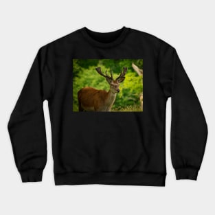 stag 5 Crewneck Sweatshirt